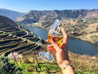 Excursão de degustação de vinhos no Vale do Douro saindo do Porto